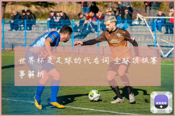 世界杯是足球的代名词 全球顶级赛事解析