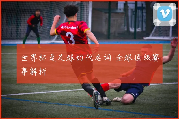 世界杯是足球的代名词 全球顶级赛事解析