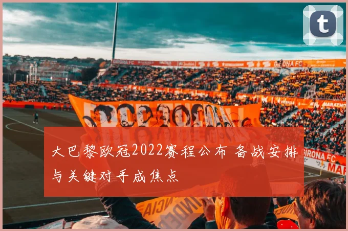 欧冠决赛球场标准升级 聚焦草坪座席安保三大核心要求